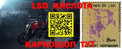 молекула духа Пугачёв