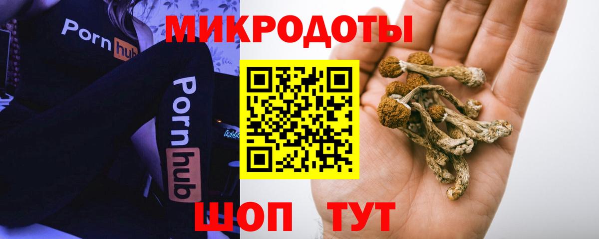 Галлюциногенные грибы мухоморы  Вход с VPN  Реж 