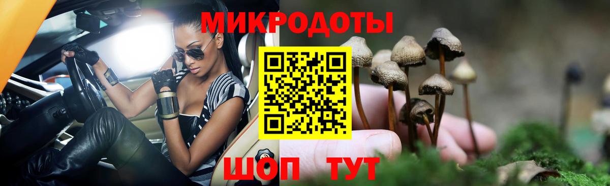 Псилоцибиновые грибы Cubensis Реж